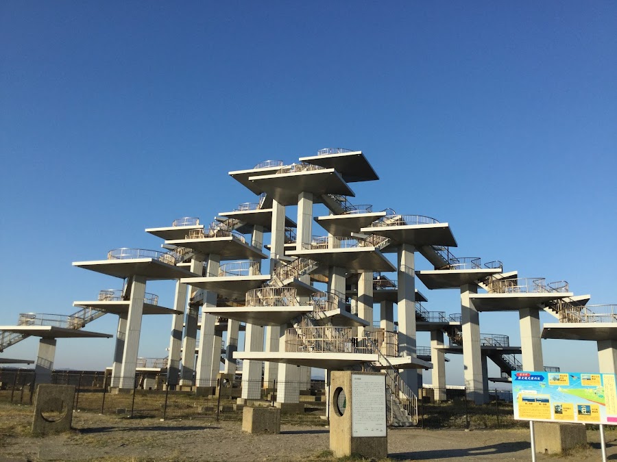 富津公園の写真