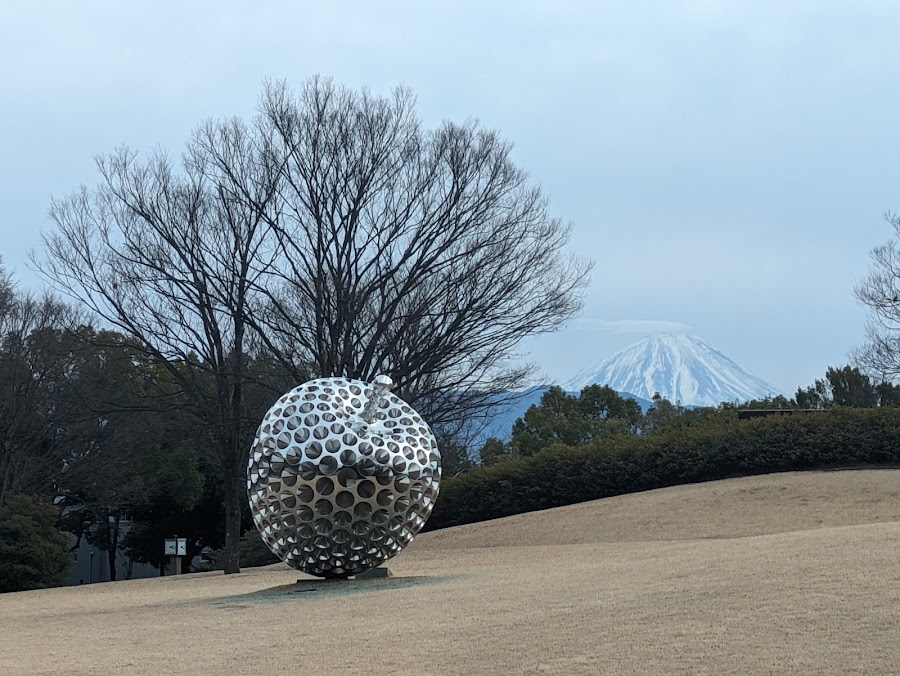 芸術の森公園の写真