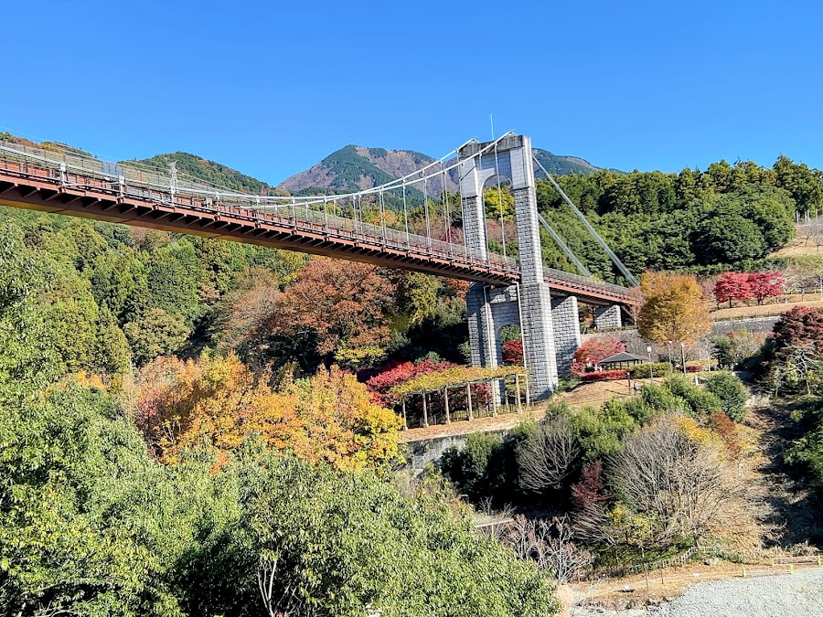 県立秦野戸川公園の写真