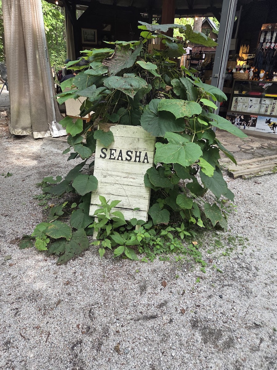 Hakuba Forest Garden SEASHAの写真