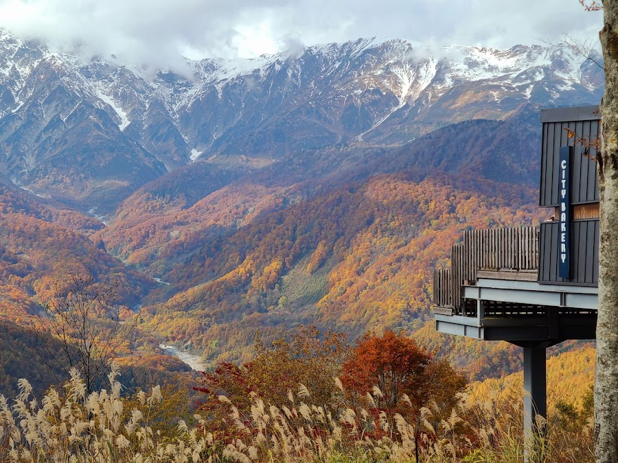 白馬岩岳マウンテンリゾートの写真
