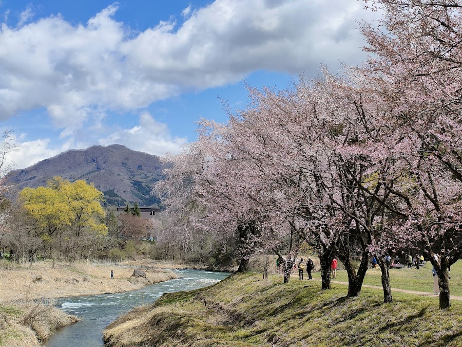 大出公園の写真