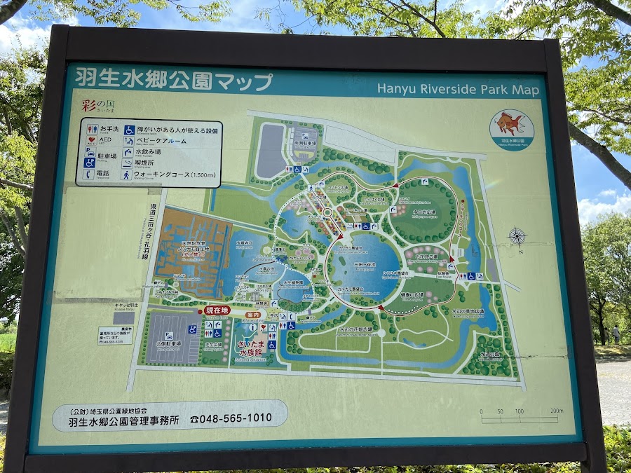 羽生水郷公園の写真