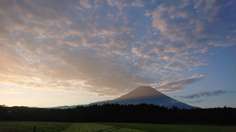 ハートランド・朝霧の写真