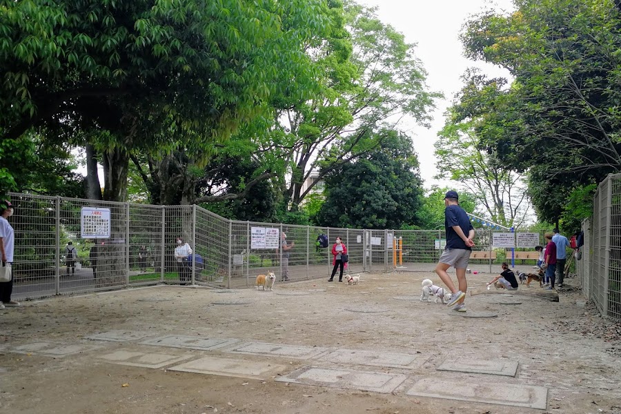 平和の森公園 犬の広場の写真