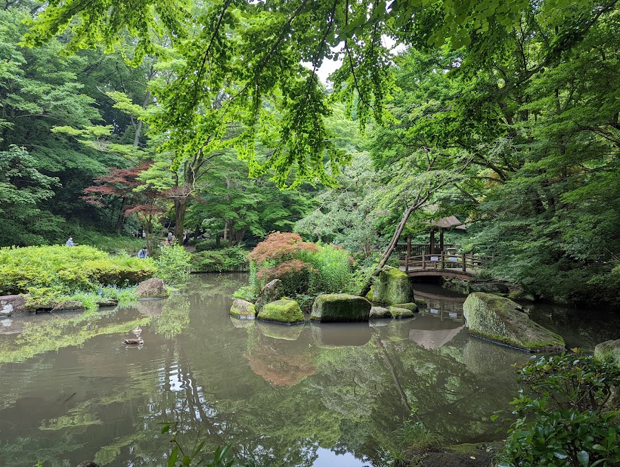 県立東高根森林公園の写真