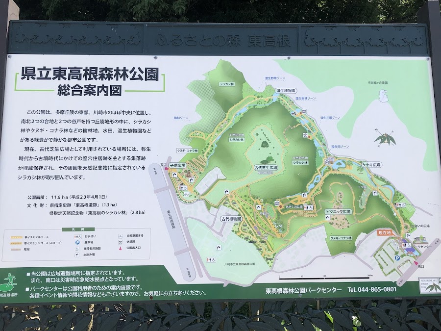 県立東高根森林公園の写真