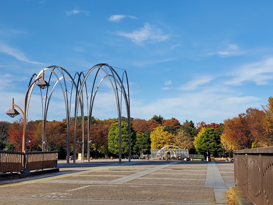 光が丘公園の写真