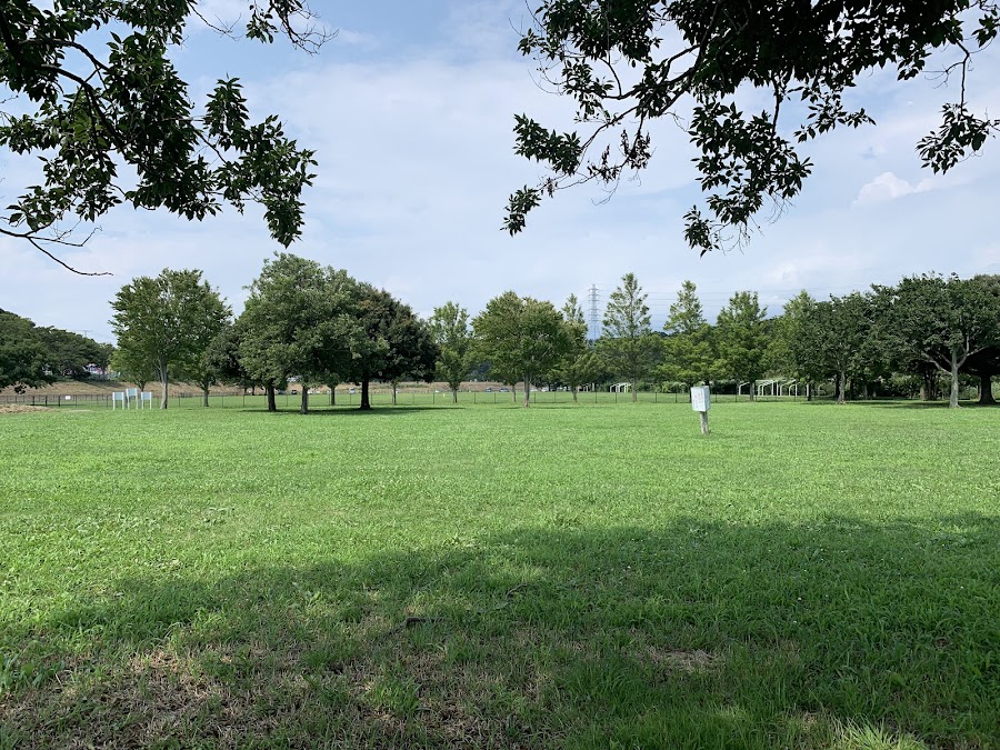 引地川親水公園ドッグパークの写真