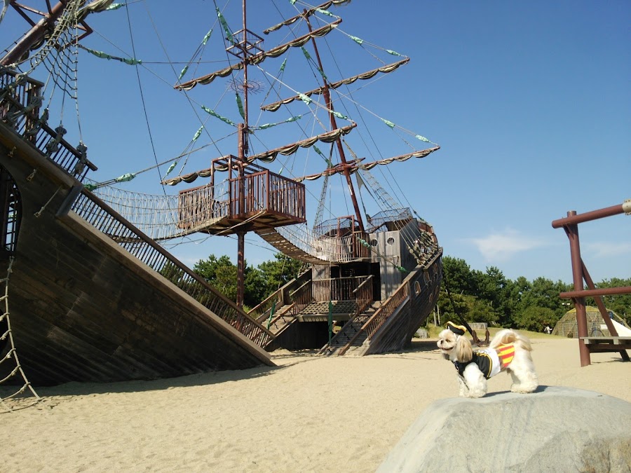 広野海岸公園の写真