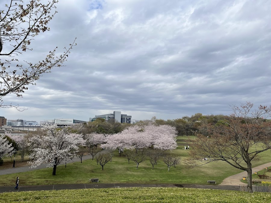 千葉県立 北総花の丘公園の写真