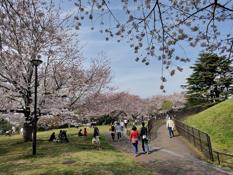 本牧山頂公園の写真