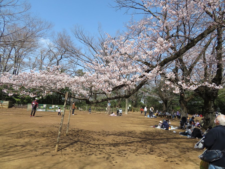 生田緑地の写真