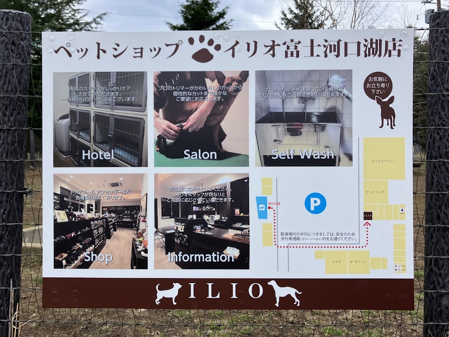 無料ドッグランILIOの写真