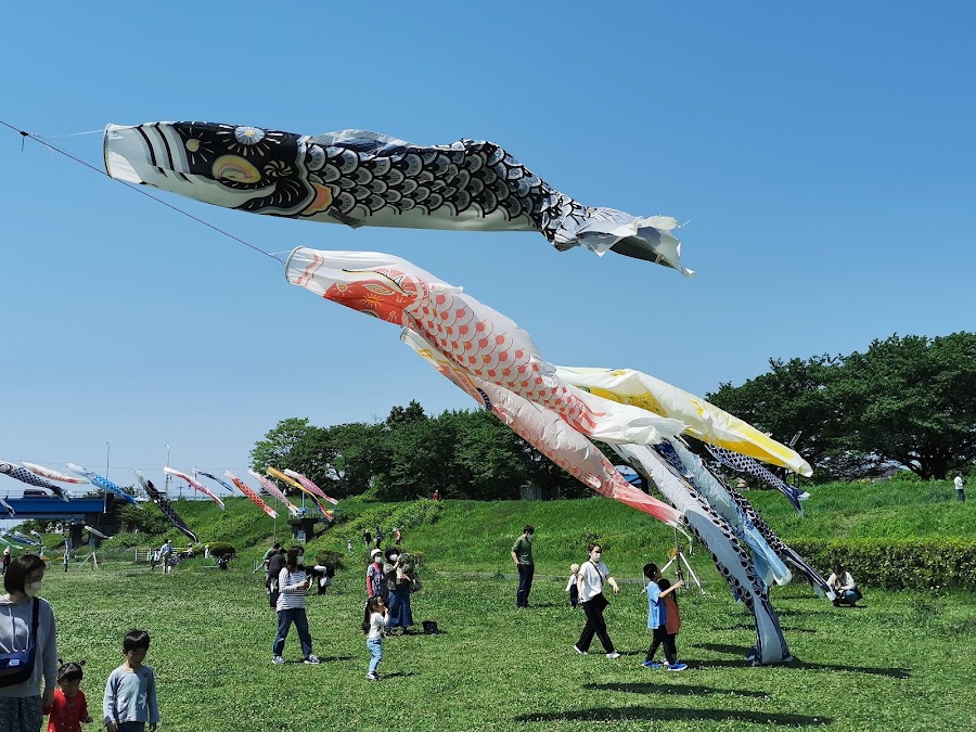 入間川にこにこテラス（河川敷中央公園）の写真