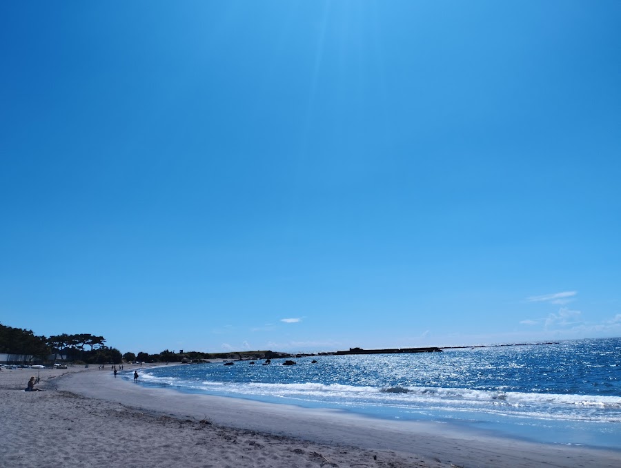 一色海水浴場（一色海岸）の写真