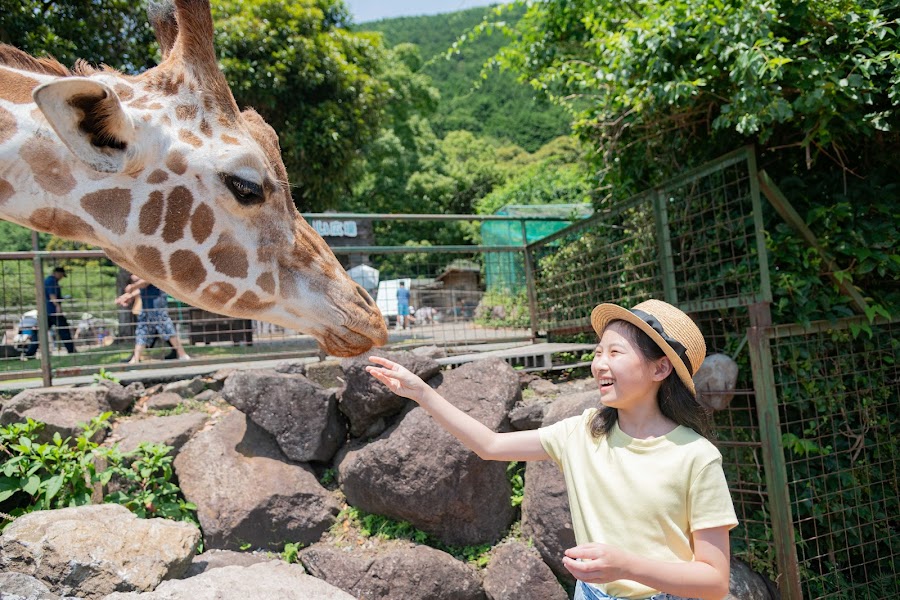 伊豆アニマルキングダムの写真