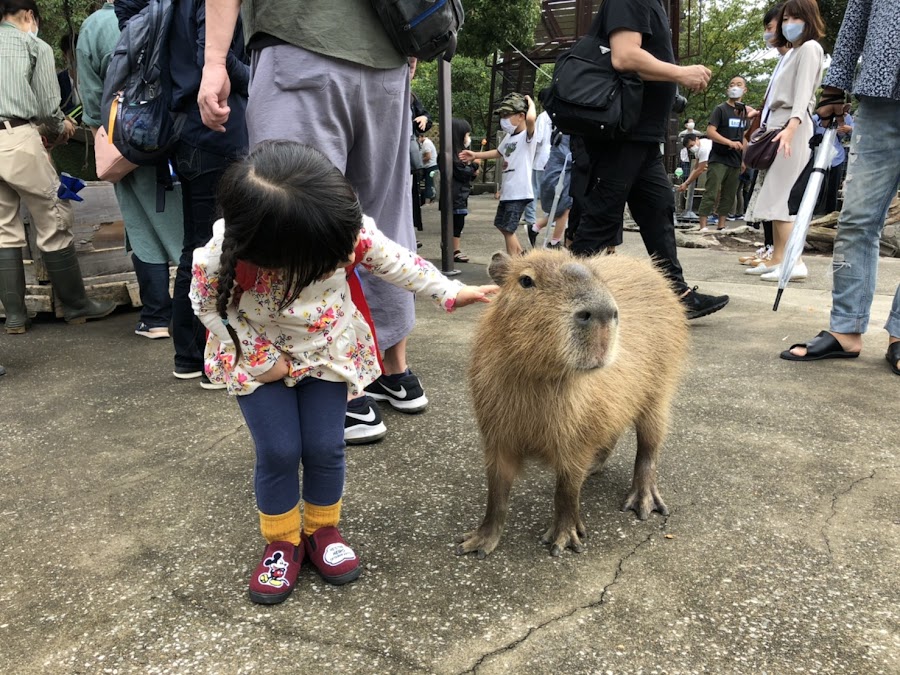 伊豆アニマルキングダムの写真