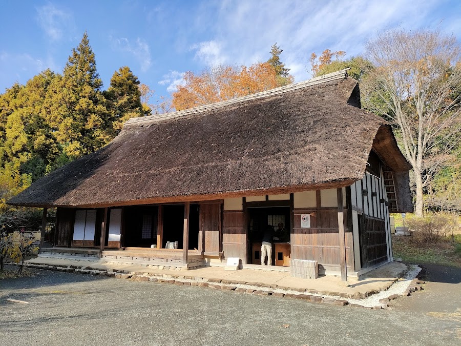 泉の森の写真