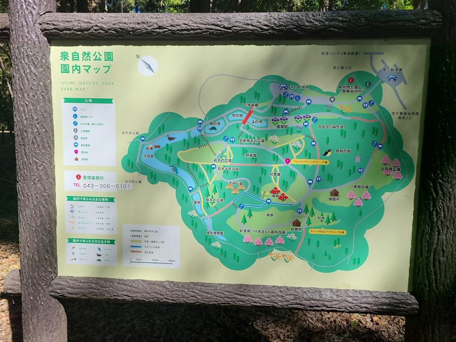 泉自然公園の写真