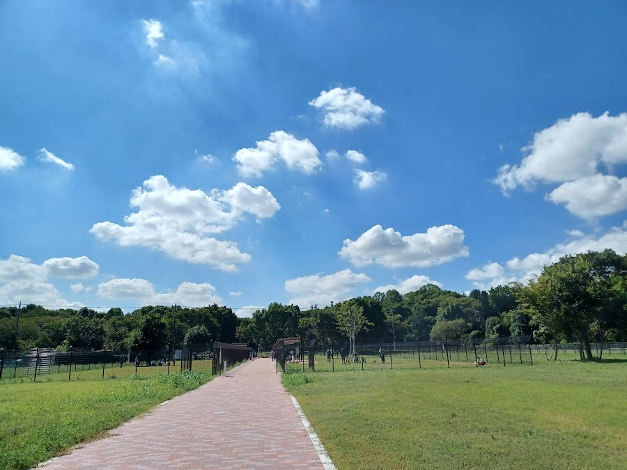 神代植物公園 ドッグランの写真