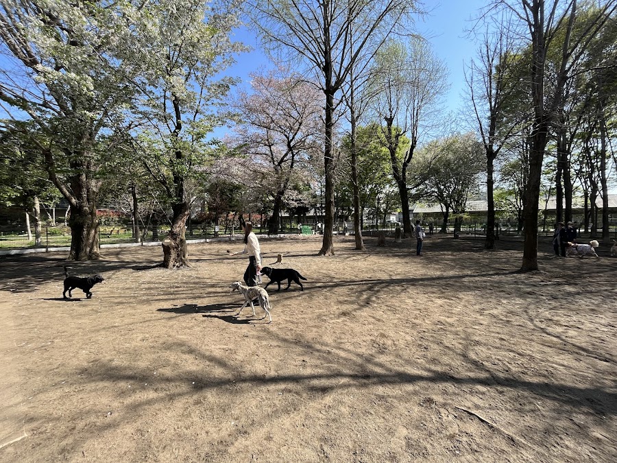 城北中央公園ドッグランの写真