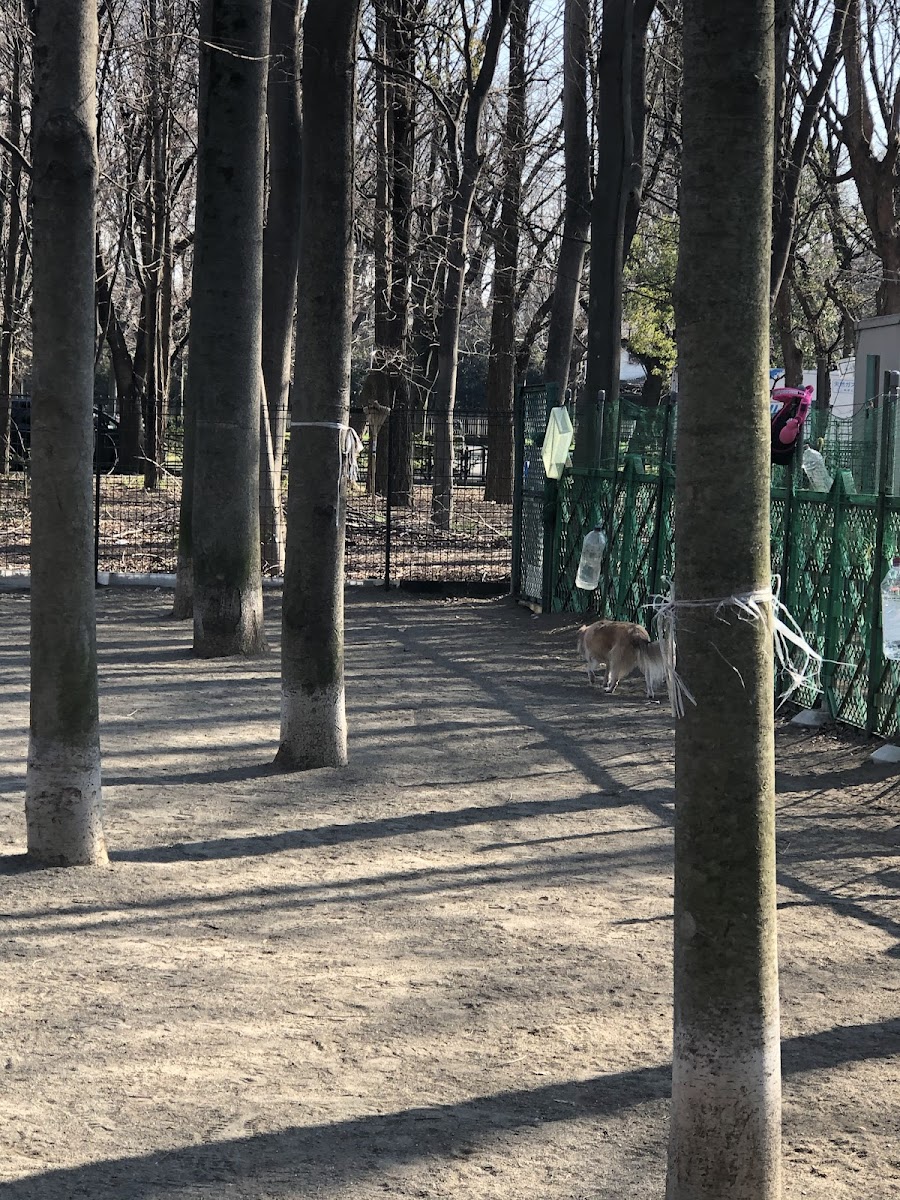 城北中央公園ドッグランの写真