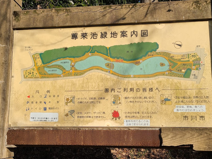 じゅん菜池緑地の写真