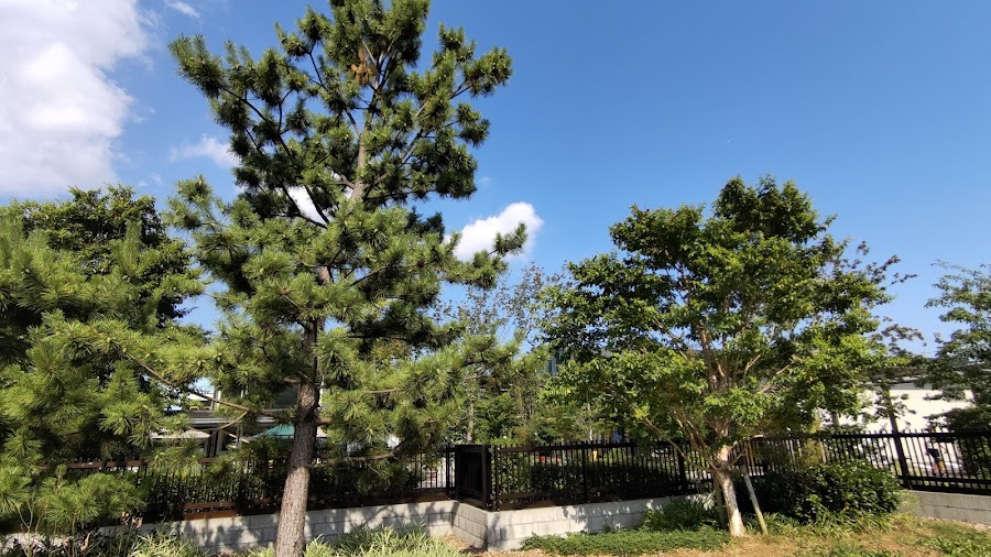 KADODE OOIGAWA ドッグランの写真