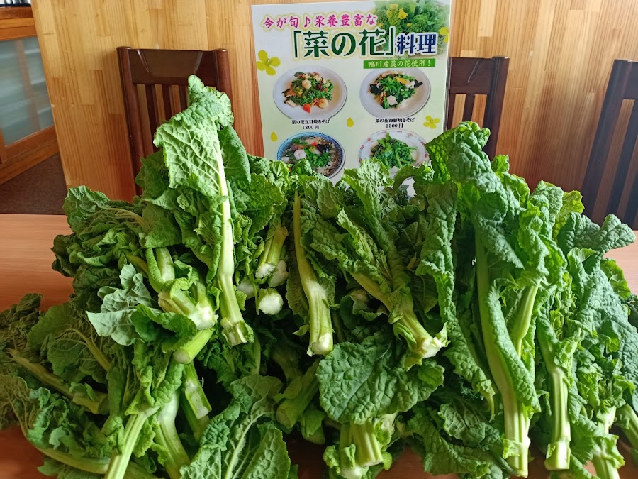 中国料理 鴨川食堂の写真