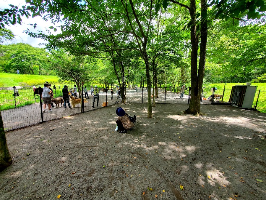湯川ふるさと公園 ドッグランの写真