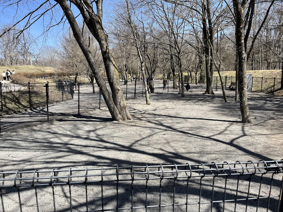 湯川ふるさと公園 ドッグランの写真