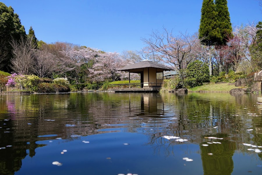 千葉県立柏の葉公園の写真