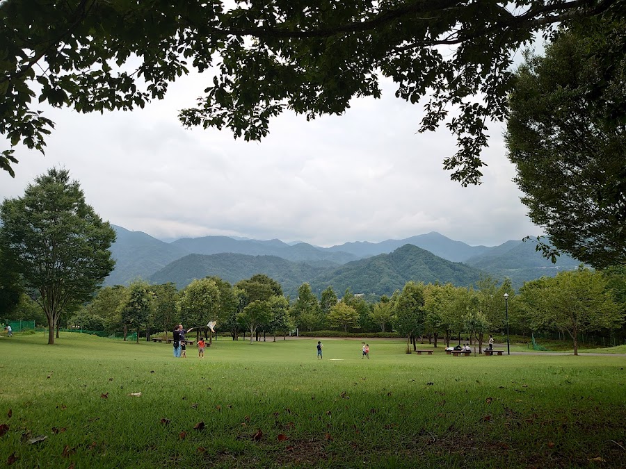 桂川ウェルネスパークの写真