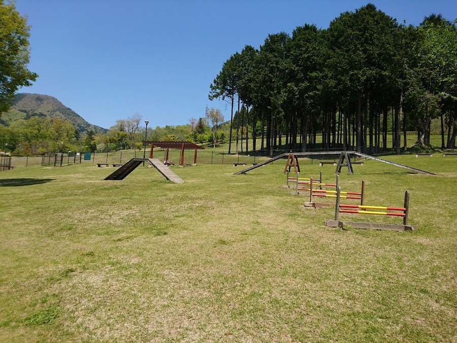 桂川ウェルネスパークの写真