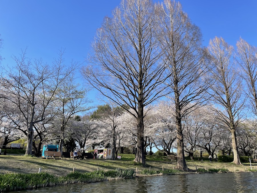 川越水上公園の写真