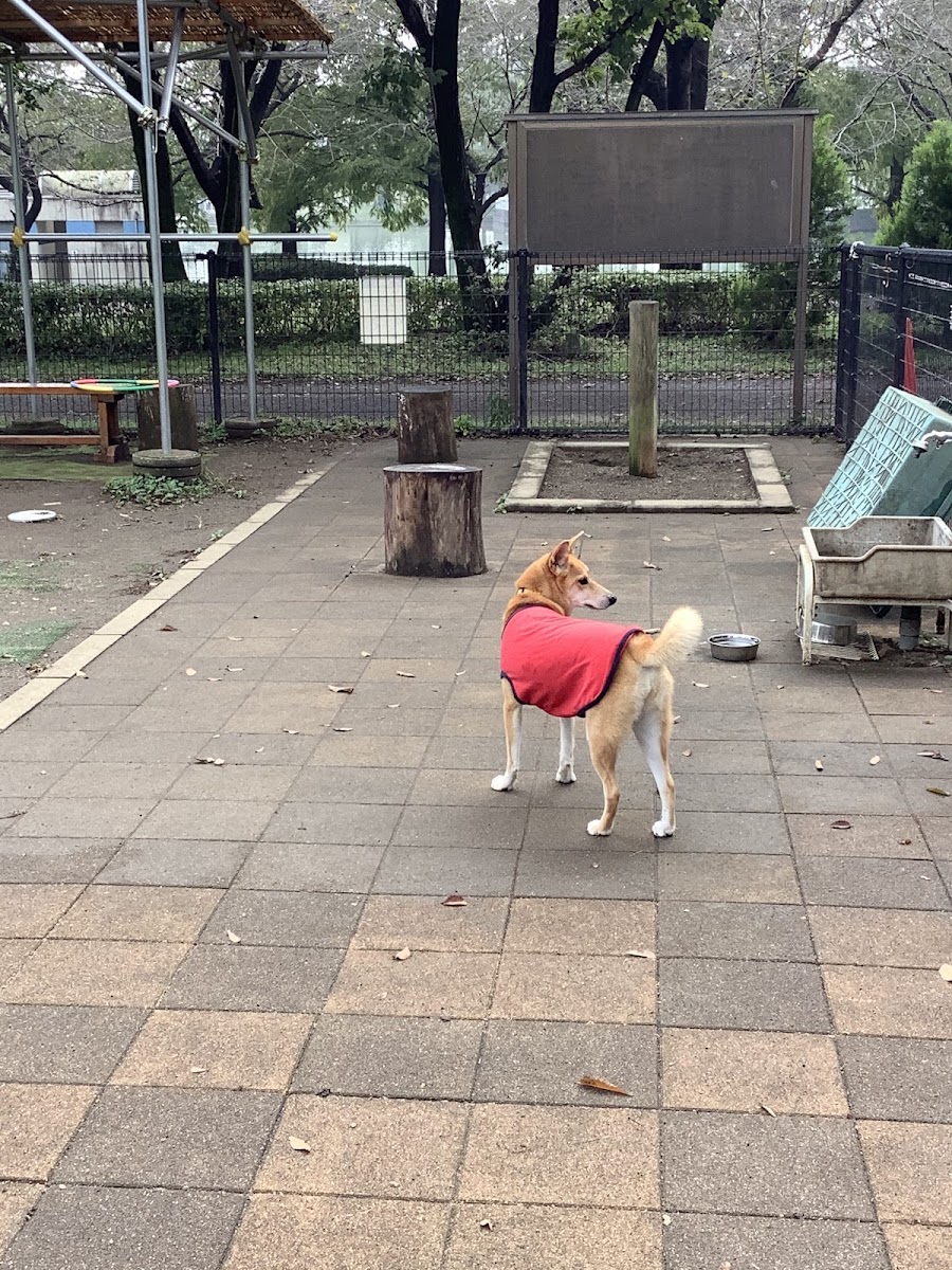 ホットスタッフ川越パーク（川越水上公園）ドッグランの写真