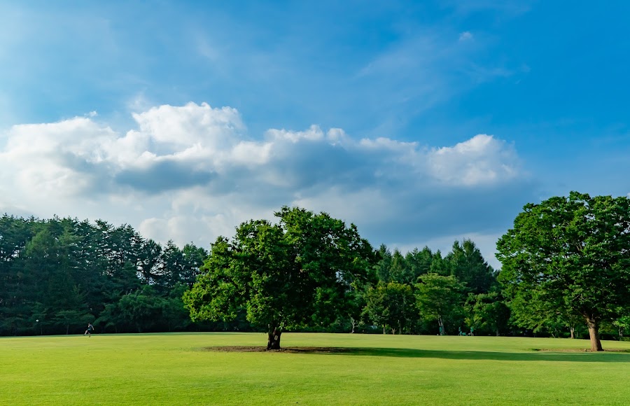 河口湖総合公園の写真
