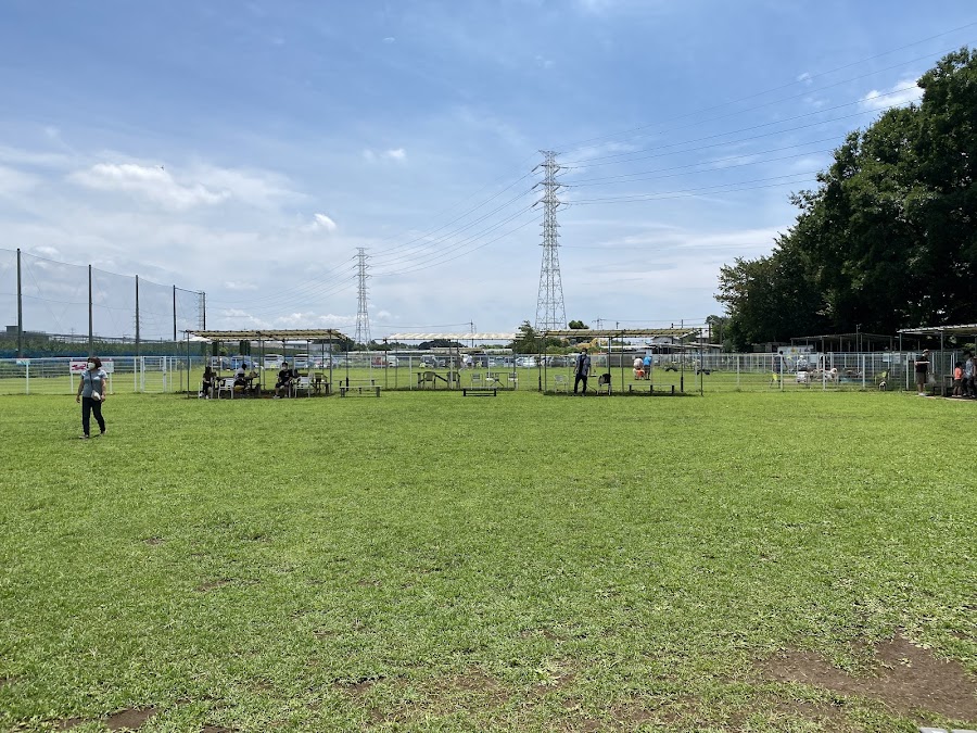 京成ドッグラン松戸の写真
