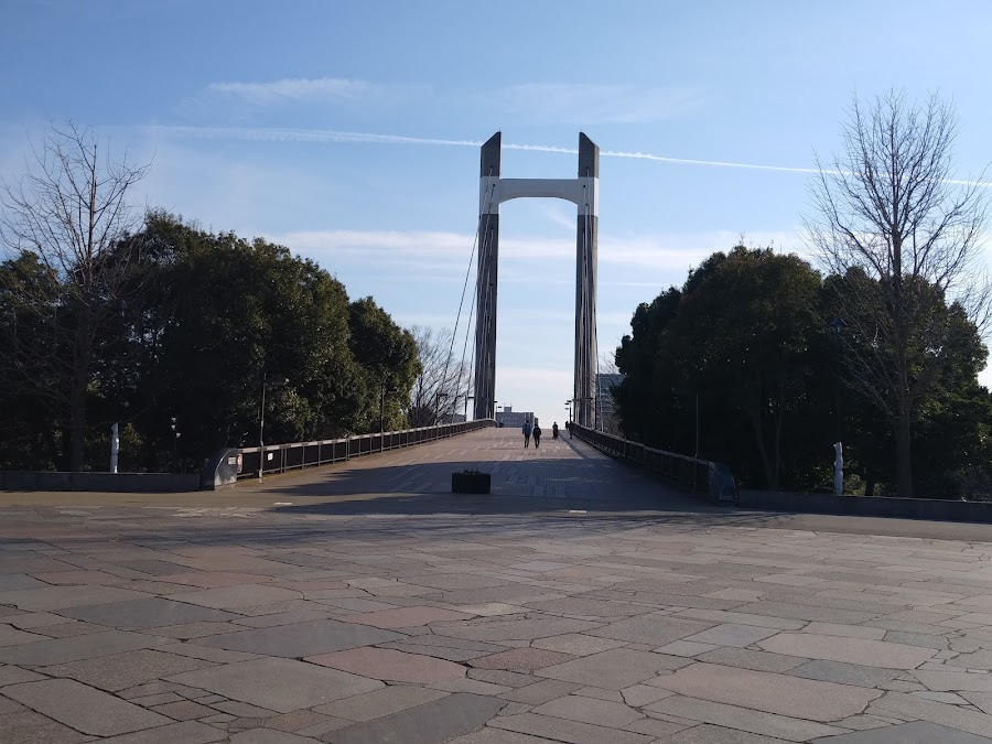 木場公園の写真