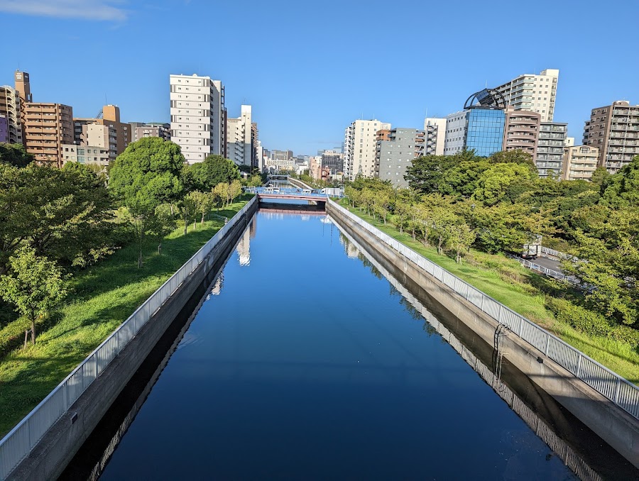 木場公園の写真