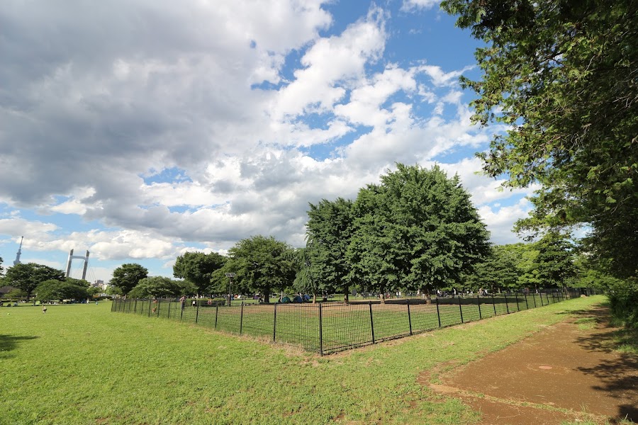 木場公園 ドッグランの写真