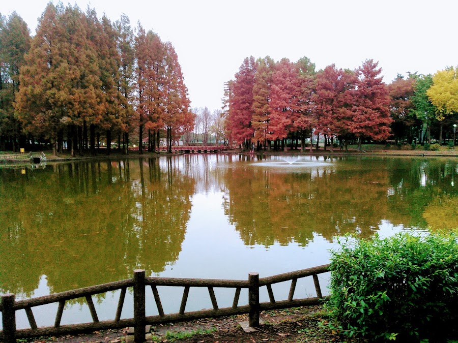 北本総合公園の写真