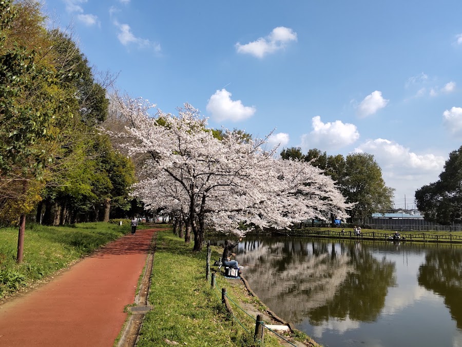 北本総合公園の写真