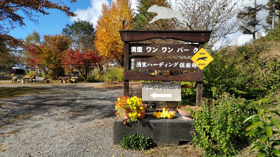 清里わんわんパークの写真