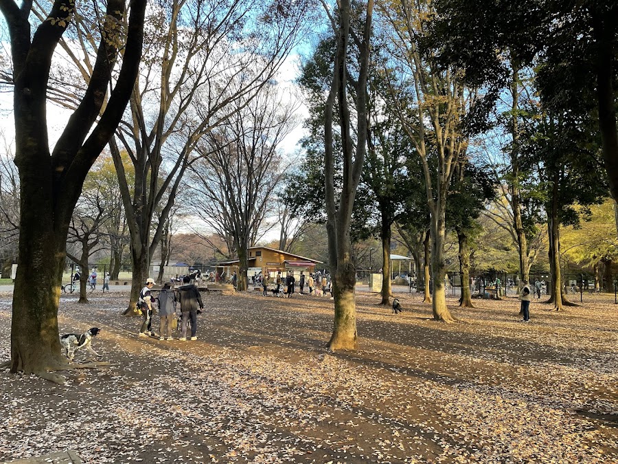 小金井公園 ドッグランの写真