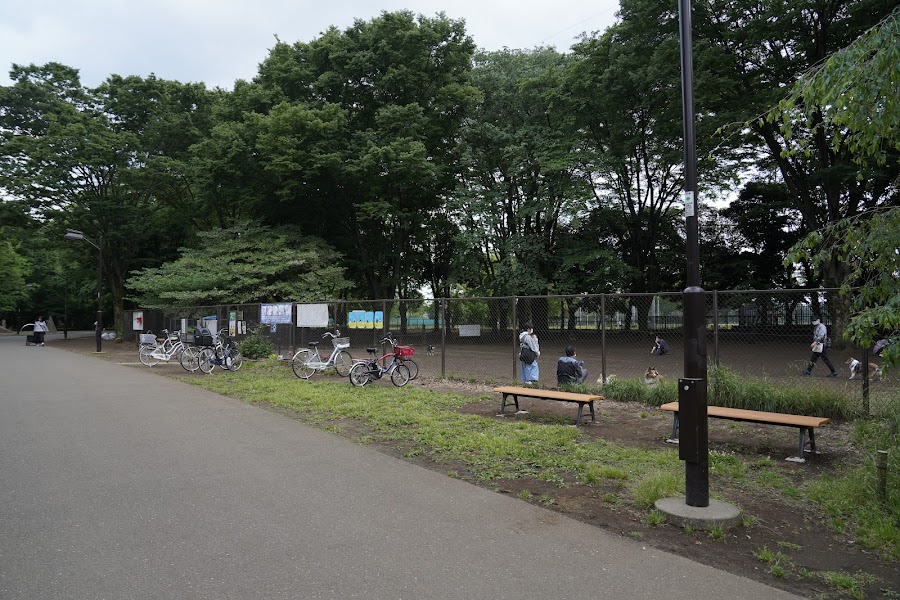 小金井公園 ドッグランの写真