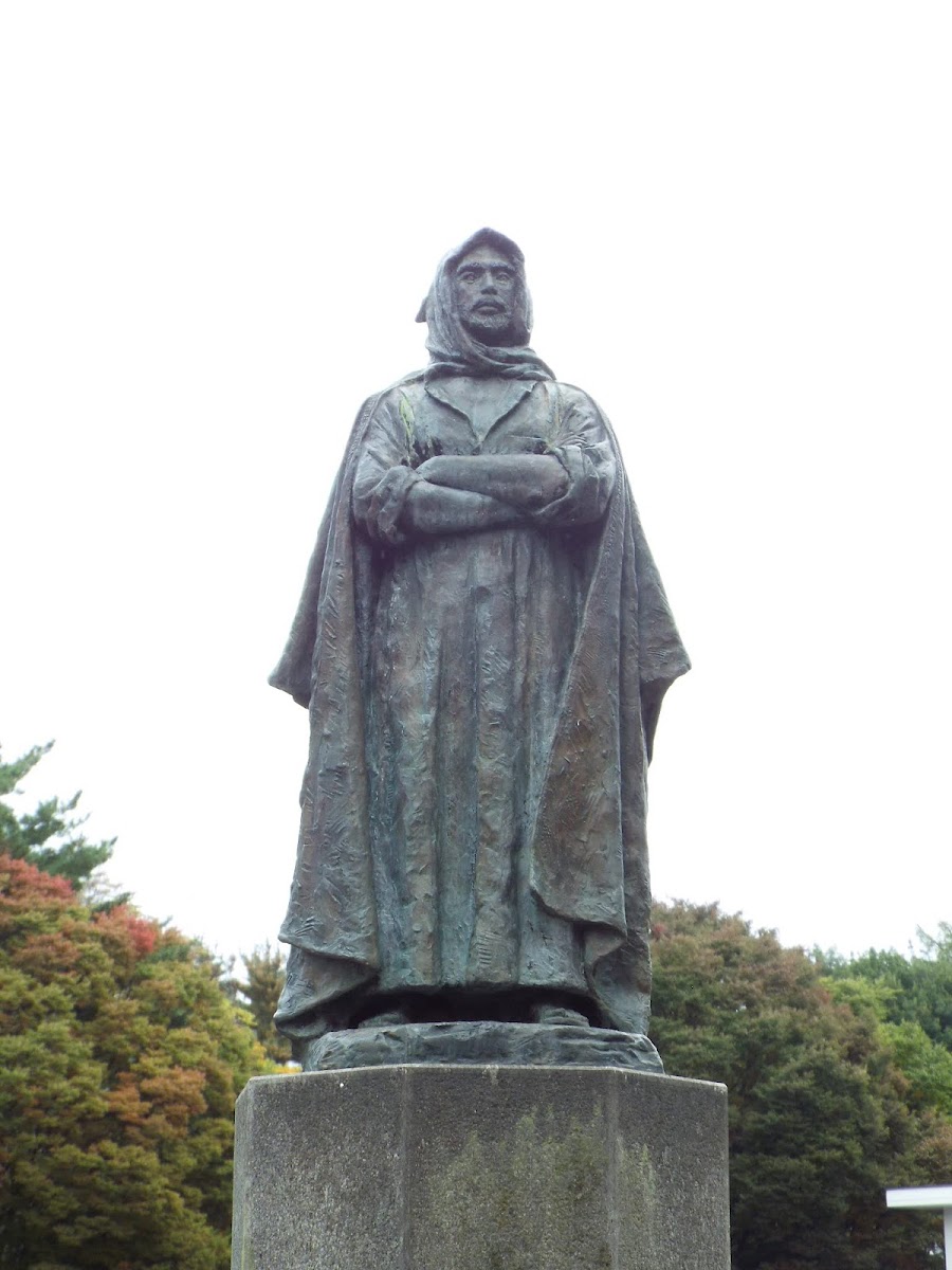 駒場公園の写真