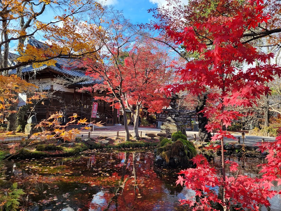 小諸城址 懐古園の写真