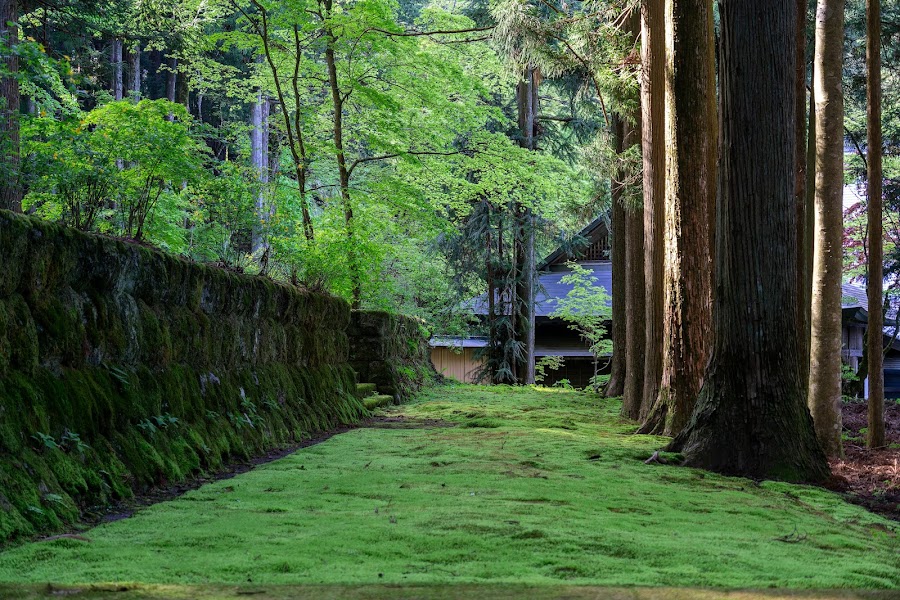 光前寺の写真